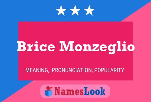 Постер имени Brice Monzeglio