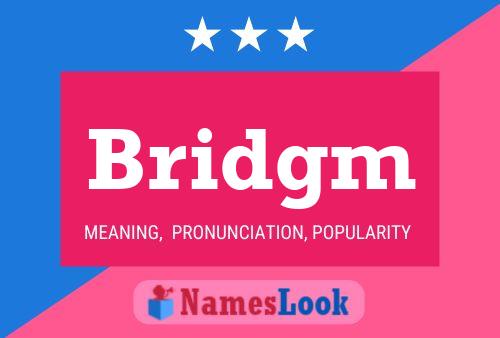 Постер имени Bridgm