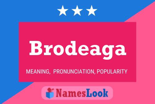 Постер имени Brodeaga