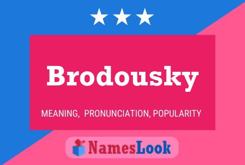 Постер имени Brodousky