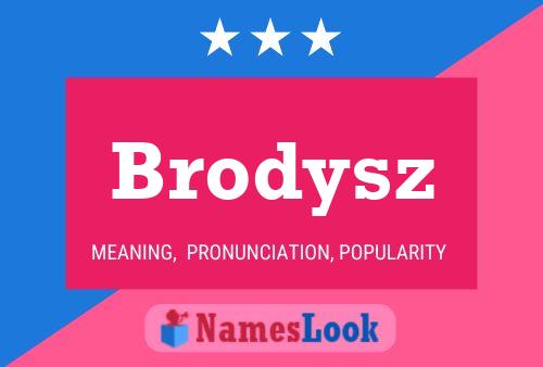 Постер имени Brodysz