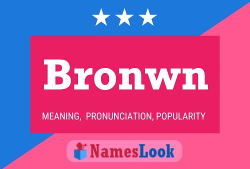 Постер имени Bronwn