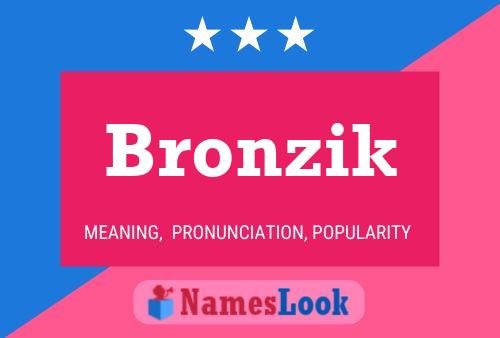 Постер имени Bronzik