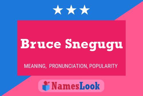 Постер имени Bruce Snegugu