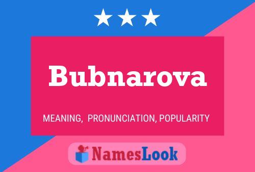 Постер имени Bubnarova