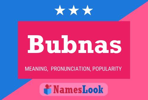 Постер имени Bubnas