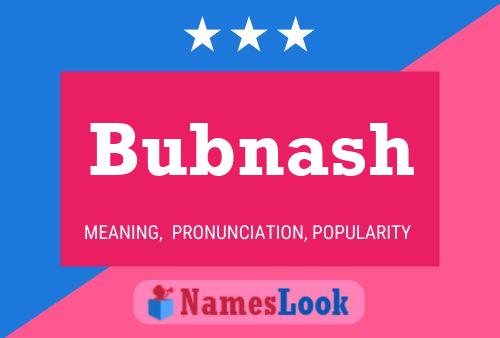 Постер имени Bubnash