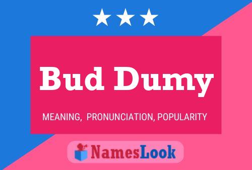 Постер имени Bud Dumy