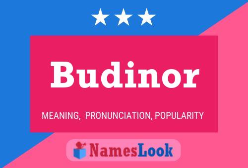 Постер имени Budinor