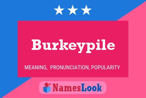 Постер имени Burkeypile