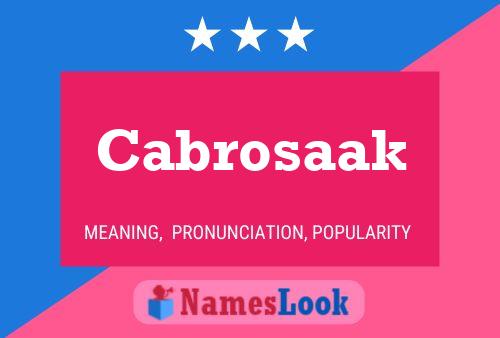 Постер имени Cabrosaak