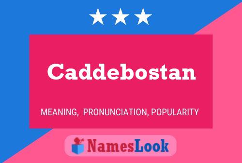 Постер имени Caddebostan