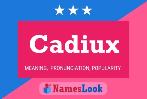 Постер имени Cadiux