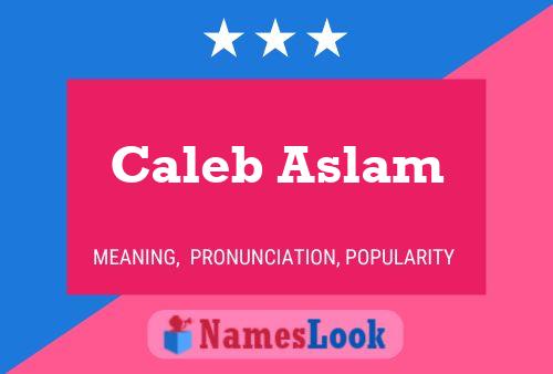 Постер имени Caleb Aslam