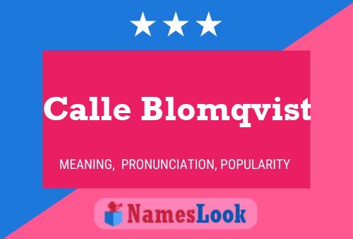 Постер имени Calle Blomqvist