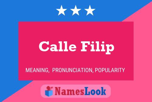 Постер имени Calle Filip