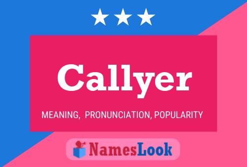 Постер имени Callyer