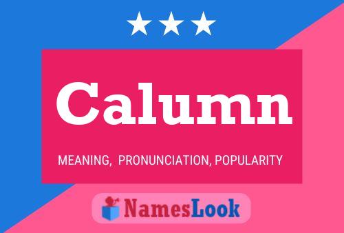 Постер имени Calumn