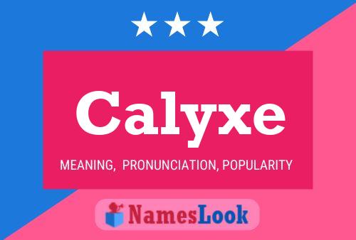 Постер имени Calyxe