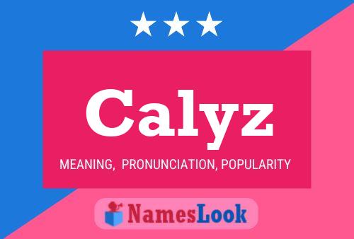 Постер имени Calyz