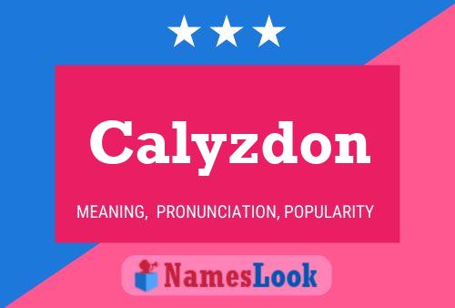 Постер имени Calyzdon