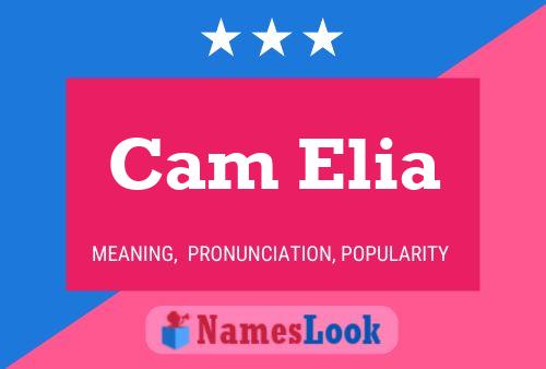 Постер имени Cam Elia