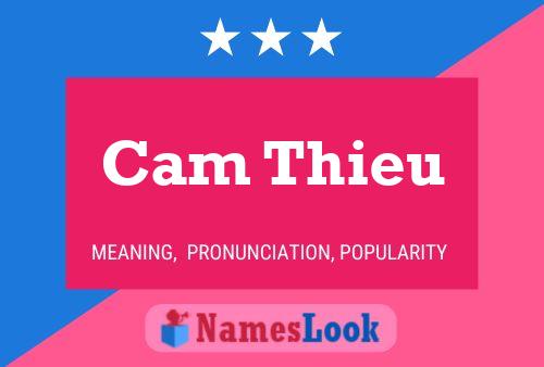 Постер имени Cam Thieu