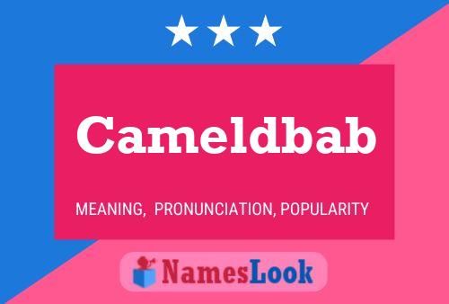 Постер имени Cameldbab