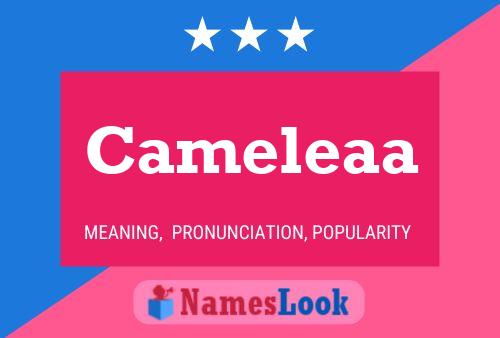 Постер имени Cameleaa