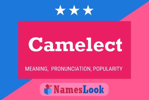 Постер имени Camelect