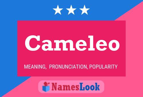 Постер имени Cameleo