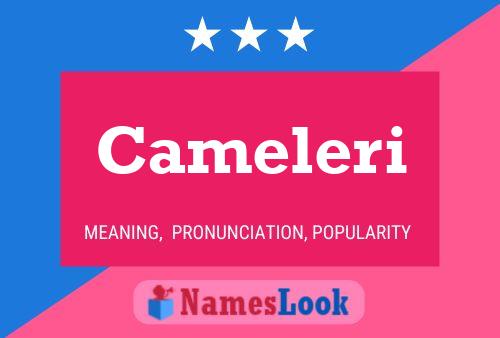 Постер имени Cameleri