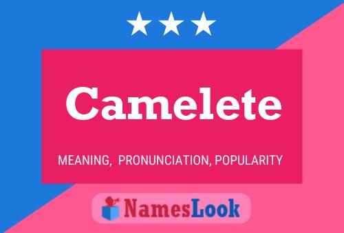 Постер имени Camelete