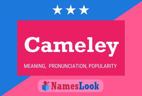 Постер имени Cameley