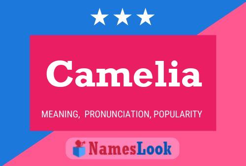 Постер имени Camelia