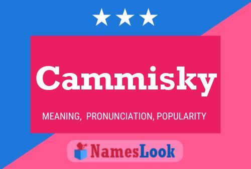 Постер имени Cammisky