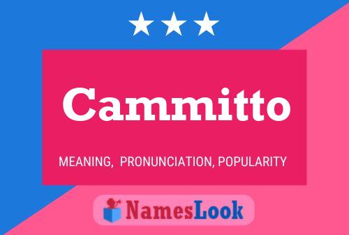 Постер имени Cammitto