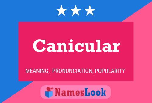 Постер имени Canicular