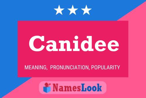 Постер имени Canidee