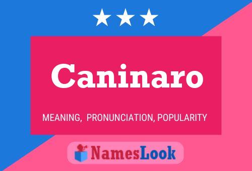 Постер имени Caninaro