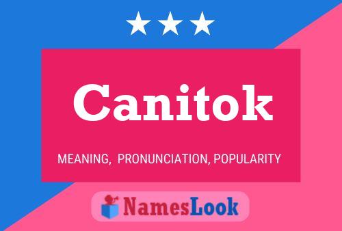 Постер имени Canitok