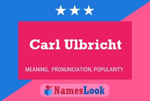 Постер имени Carl Ulbricht