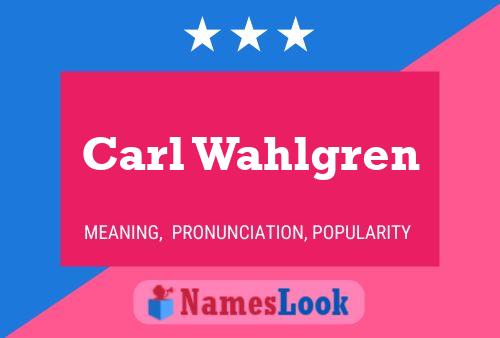 Постер имени Carl Wahlgren