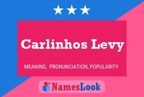 Постер имени Carlinhos Levy