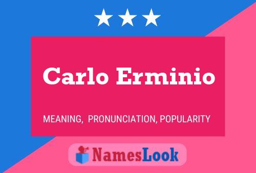 Постер имени Carlo Erminio