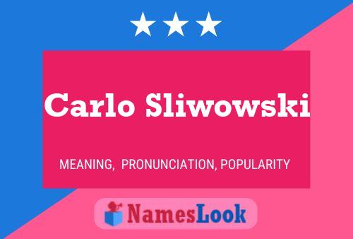 Постер имени Carlo Sliwowski