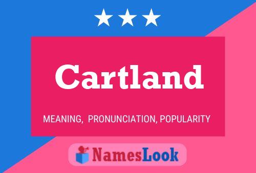 Постер имени Cartland