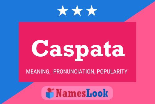 Постер имени Caspata