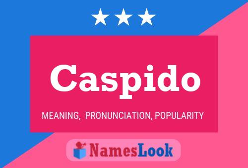 Постер имени Caspido