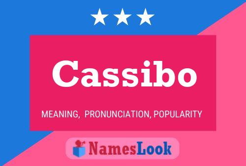 Постер имени Cassibo